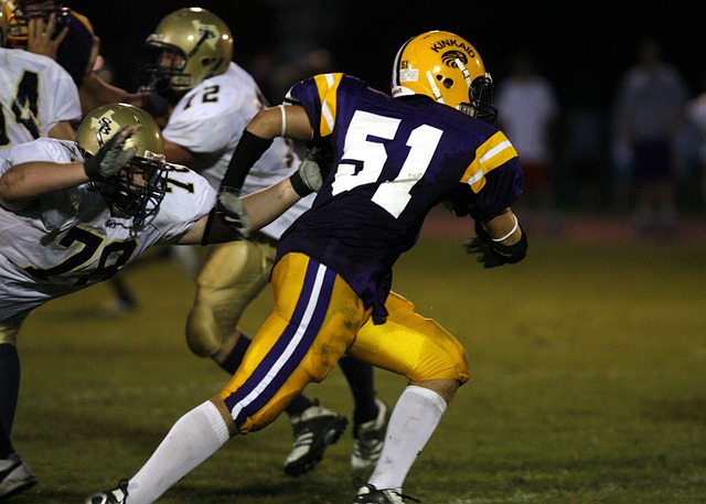 在转会也许 在转会也许