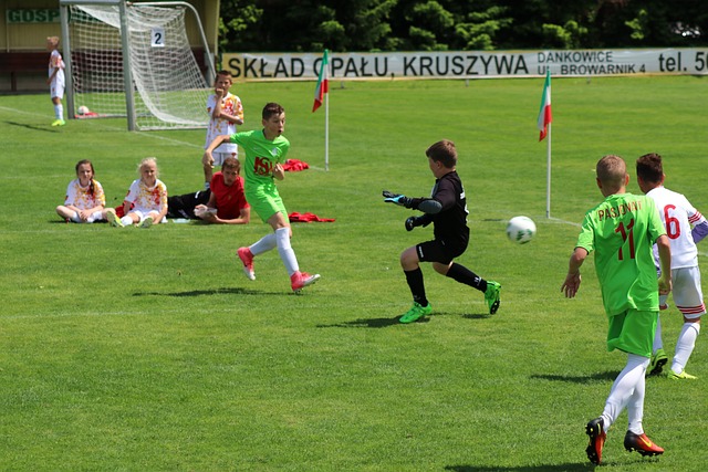 战术多样性 战术多样性