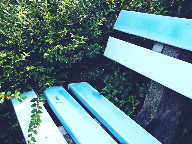 本土球员中 本土球员中